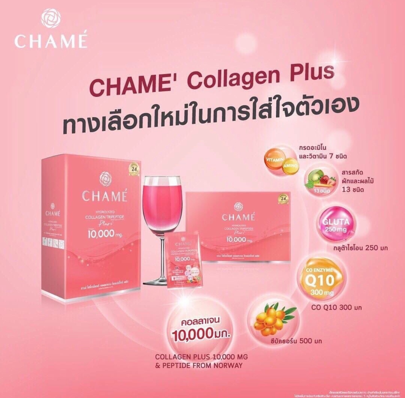 Chame Collagen