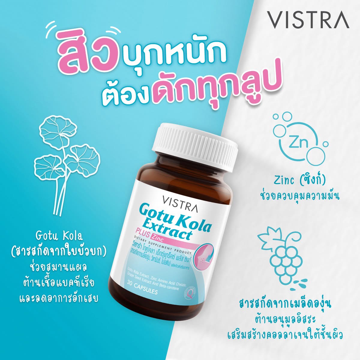 Vistra Gotu Kola (30 capsules)